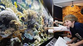 Museo di Scienze Naturali - >Bozen