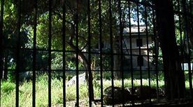 Antiquarium - >Roma