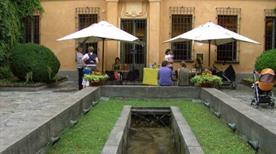 Museo C. Leone - >Vercelli