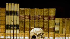 Museo di Anatomia Umana - >Naples