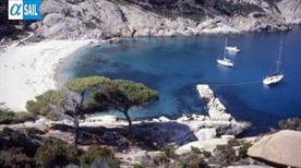 Alfa Sail - >Punta Ala