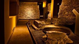 Museo Civico Archeologico e di Scienze Naturali F. Eusebio - >Alba