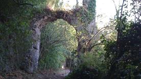 Monumento Naturale Galeria Antica - >Roma