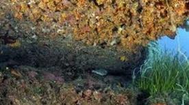 Punta Parrino - >Lampedusa
