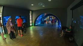Acquario Civico - >Milan