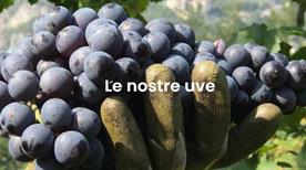 Agricola Vallecamonica - >Artogne