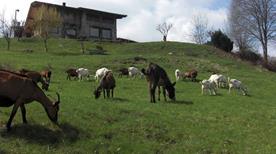 Agriturismo Cà D'Andrei - >Sagliano Micca