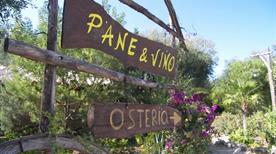AGRITURISMO PANE E VINO PESCHICI - >Peschici