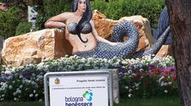 Angolo B Punta Marina - >Punta Marina