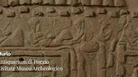 Antiquarium di Poggio Civitate - >Murlo