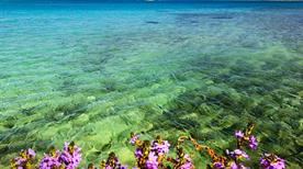 Area Marina Protetta - >Porto Cesareo
