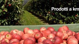 Azienda Agricola Bertamini Di Silvano Bertamini - >Arco