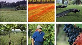 Azienda Agricola Cattani - >Cavriana