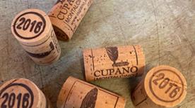 Azienda Agricola Cupano - >Montalcino