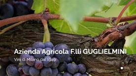 Azienda Agricola Guglielmini Giuseppe - >Miradolo Terme