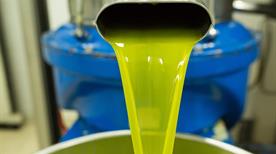 Azienda Agricola Il Cascin - >Cesio
