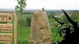 Azienda Agricola Massimo Nicolini - >Agazzano