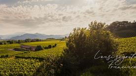 Azienda Agricola Ronco Calino - >Adro