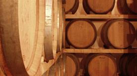 Azienda Agricola Russo - >Suvereto