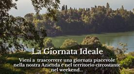 Azienda Agricola S. Anna - >Eupilio