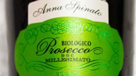 Azienda Vinicola Anna Spinato S.A.S - >Ponte di Piave