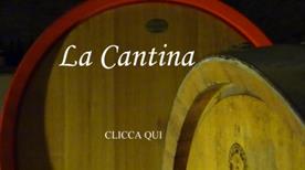 Azienda vinicola - Blengio - >Calosso