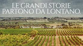 Azienda Vinicola Cherchi SRL - >Usini