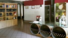 Azienda Vitivinicola Alessandro Secchi - >Ala