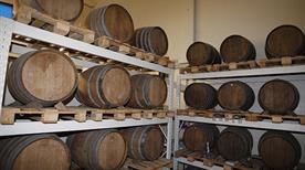 Azienda Vitivinicola Biologica Zuffa - >Imola