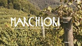 Azienda Vitivinicola Marchiori  - >Farra di Soligo