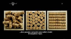 Azienda Vitivinicola Marulli - >Copertino