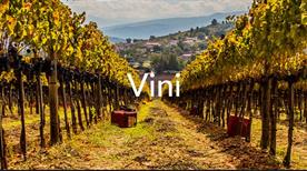 Azienda Vitivinicola Nardone Nardone Domenico - >Pietradefusi