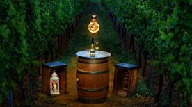 Azienda Vitivinicola Torri - >Bacedasco Sotto