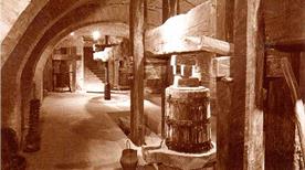 Museo Bersano delle Contadinerie e Stampe antiche del vino - >Nizza Monferrato