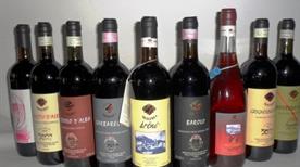 Mauro Vini Srl - >Dronero
