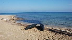 Spiaggia Torre Veneri - >Lecce