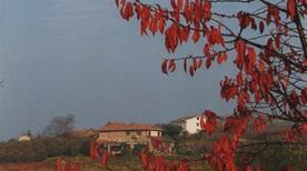 Azienda Agricola Cascina Gramolere - >Monforte d'Alba