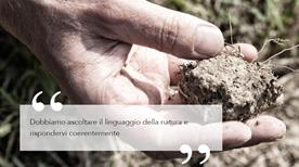 Bava Azienda Vitivinicola - >Cocconato