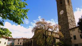 Museo Masaccio - >Reggello