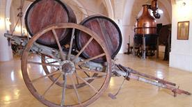 Consorzio Produttori Vini S.c.A.. - >Manduria