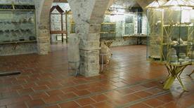 Museo Civico Archeologico Genna Maria - >Villanovaforru