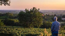 Ca' Rovere Azienda Agricola - >Alonte