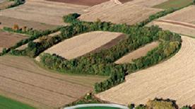 Castelliere di Savalons - >Mereto di Tomba