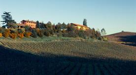 Isimbarda Sas Societa' Agricola Di Meroni Luigi E C. - >Santa Giuletta