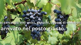 Cantina Carafoli - >Ravarino