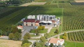 Cantina Dei Colli Romagnoli - >Imola