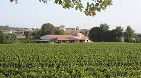 Cantina Gozzi - >Monzambano