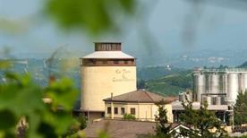 Cantina Sociale La Torre - >Racalmuto