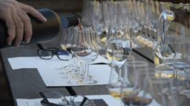 Cantina Sociale Paolini - >Paolini