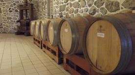 Cantina Zanetta - >Cerveno